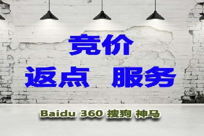 竞价SEM案例分享：行业霸主崛起之路
