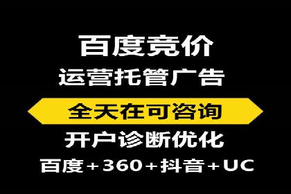 成功案例：专业SEM托管服务助力企业抢占行业制高点